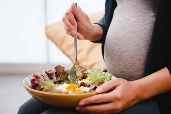 Nutrisi Makanan saat Hamil