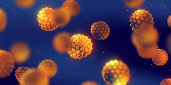 Visualisasi HPV (Human Papillomavirus)