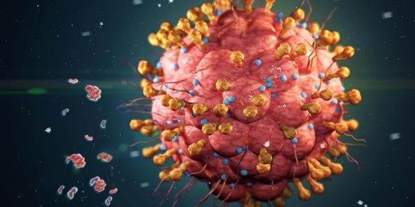 Visualisasi Virus Herpes