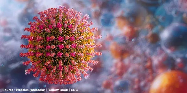 Visualisasi Virus Rubeola