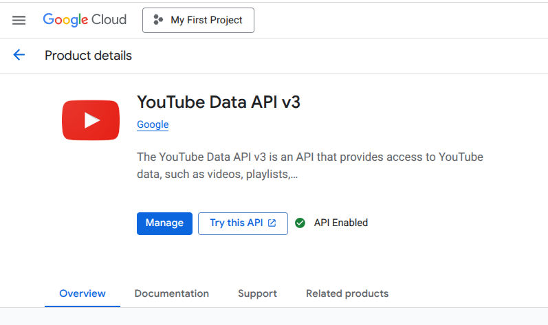 YouTube Data API Enabled Screen