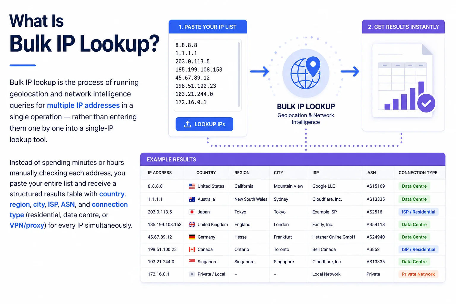 Server log files with IP addresses — bulk IP lookup processes entire lists at once