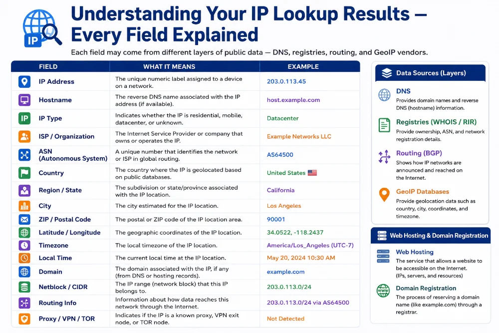 Data analytics dashboard showing IP geolocation results — country, city, ISP, and ASN
