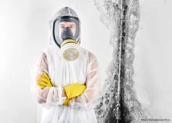 FAQS about Mold Removal Services in Middletown, DE