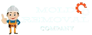 Oneida, KS Mold Removal