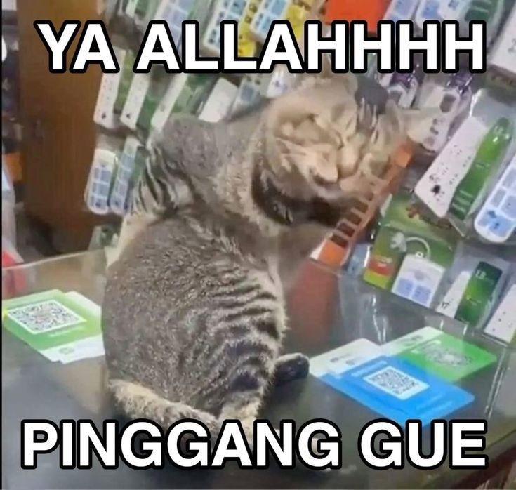 Sertifikat, penghargaan, tanda, atau dokumen yang dipajang di RUDALHOKI Platform Hiburan Online Modern Aman Dan Terpercaya Hari Ini