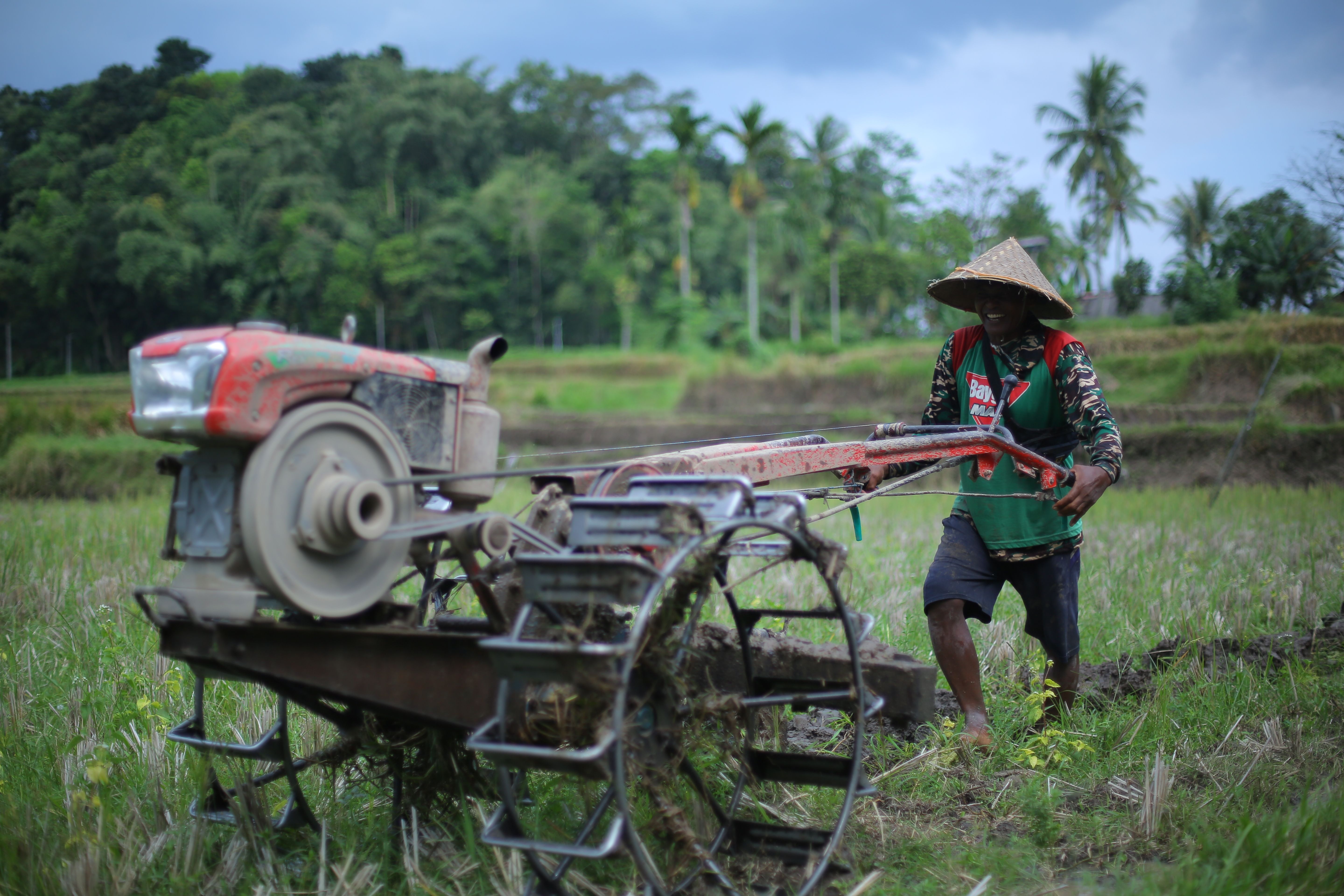 Gambar Pak Tani Membajak Sawah