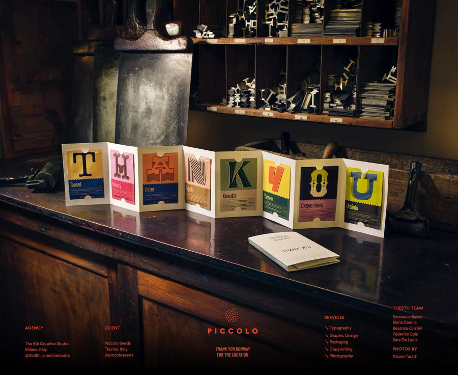 PICCOLO SEEDS - The Botanical Alphabet