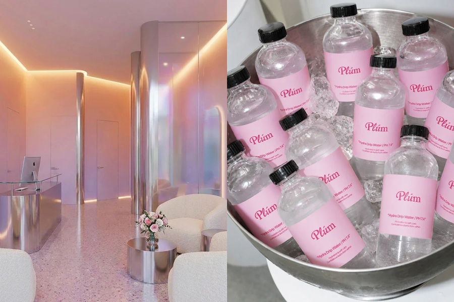 PLÜM | Beauty Clinic Branding & Visual Identity