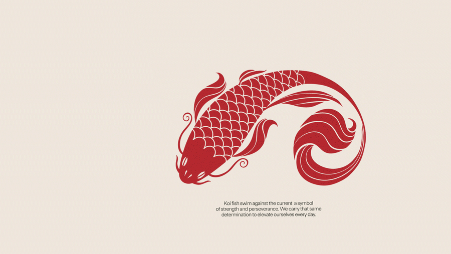 Sushico - Branding & Packaging