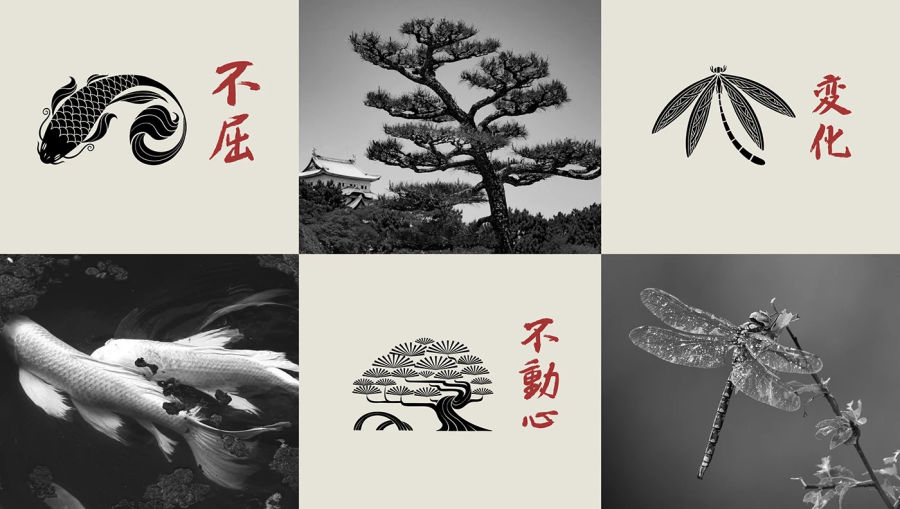 Sushico - Branding & Packaging