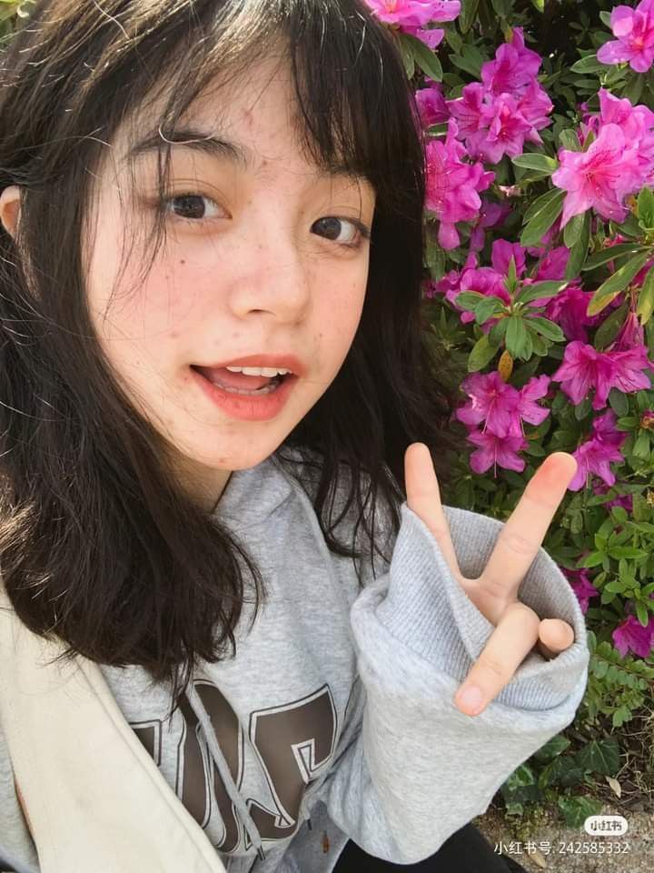 SETANTOTO : Link No.1 Situs Resmi Bandar Togel Online Toto Macau Terpercaya