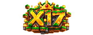 X17