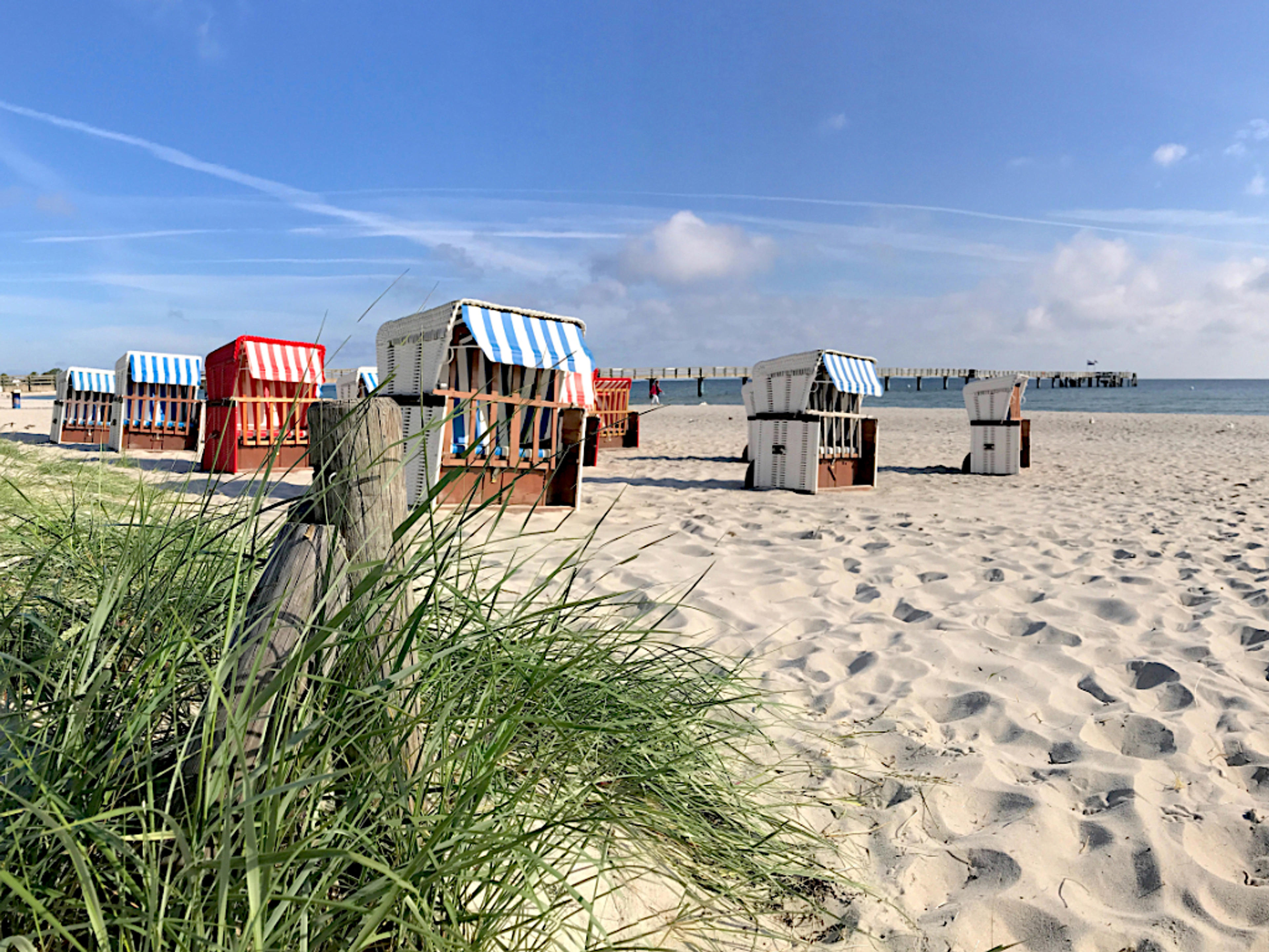 Themabild vom Angebot Frühling in Boltenhagen für Ferienwohnungen in Boltenhagen