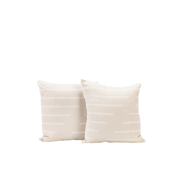 two neutral pattern pillows 