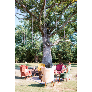 Vintage colorful furniture in front of tree 