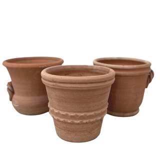Planter
Outdoor
Terracotta
Pot