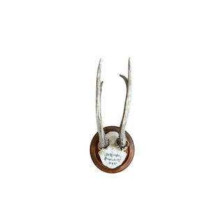 Set of 5 antler decor set
