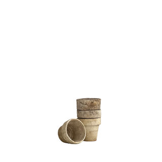 Cream Pot
Planter
Rentals 
Austin Event Rentals