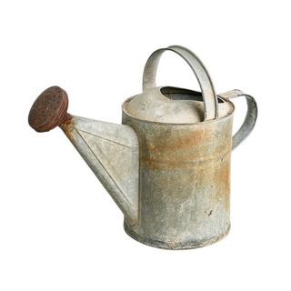 Vintage watering can