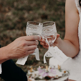 Clear Glass Wine and Water Goblets 