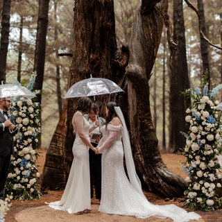Wedding Clear Transparent Umbrellas