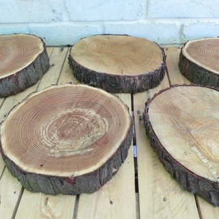 Large Wood Rounds Wedding Aisle Decorations