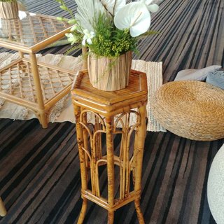 Cane Pedestal Stand