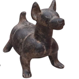 Alto 49 cm
Ancho 21.5 cm