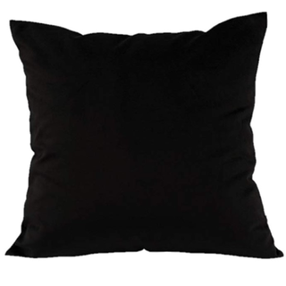 black velvet pillow