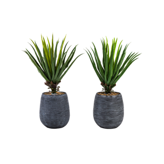 pair of faux potted aloe plants in gray pot