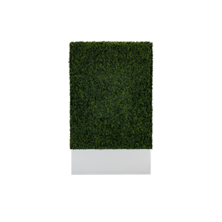 hedge wall on white base