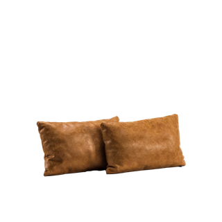 two brown leather pillows