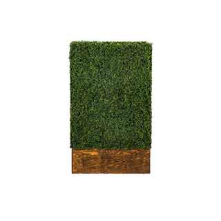 hedge wall on stained wooden base