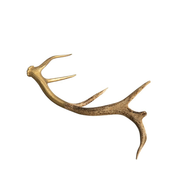 Gold spray painted antler