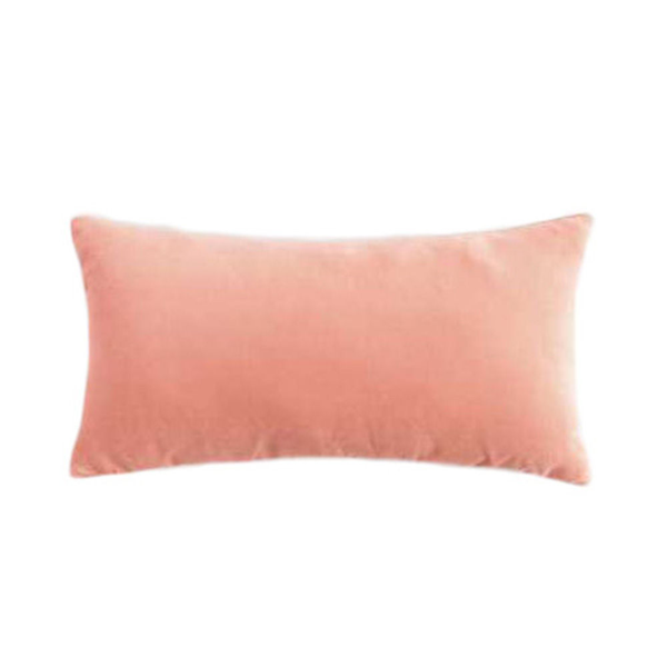 Blush Pink Velvet Pillow