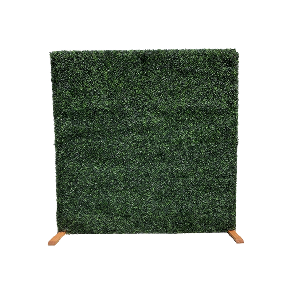 boxwood wall