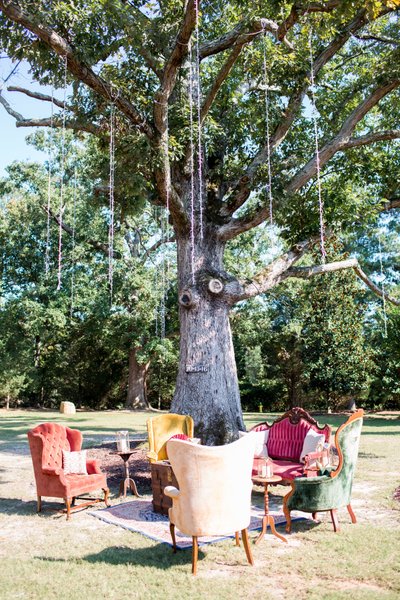 Vintage colorful furniture in front of tree 