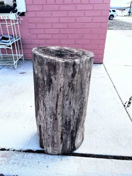 Wood stump end table