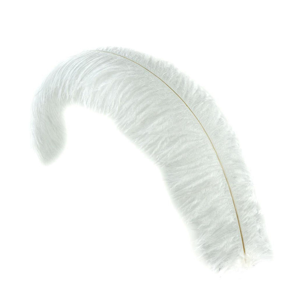 Feathers: White Ostrich (L) 20-24inch