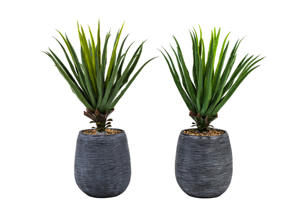 pair of faux potted aloe plants in gray pot