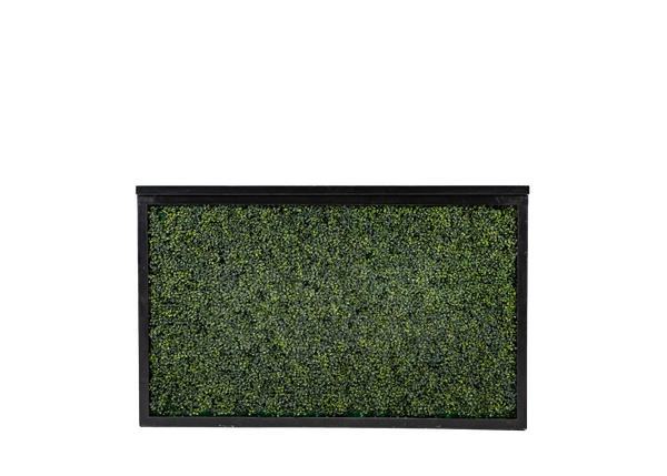 black shadowbox bar with green hedge insert and black top 