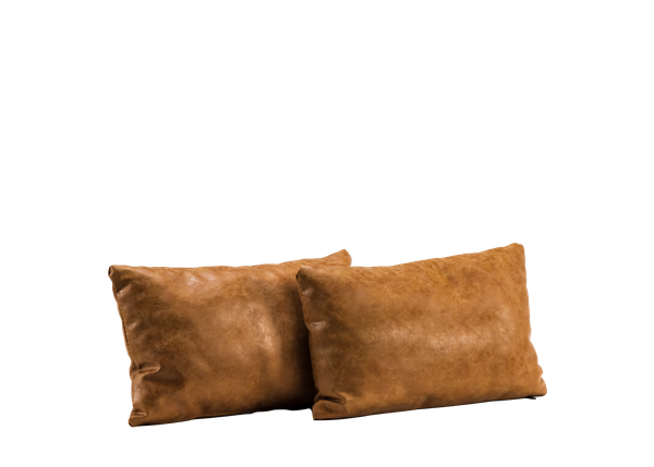 two brown leather pillows