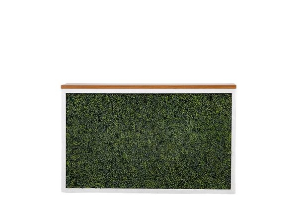 white shadowbox bar with green hedge insert and wood top