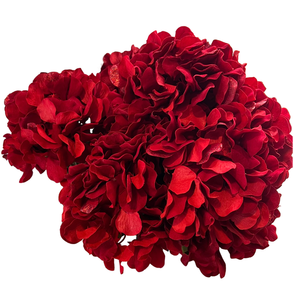 Red Hydrangea Flower Bunches