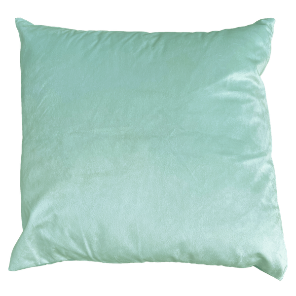 Soft Turqouise Velvet Pillows