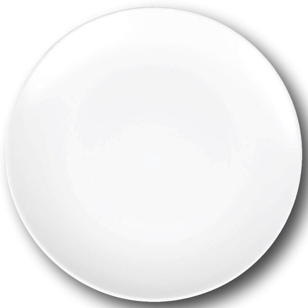 Matte White Stoneware 10. 5" Large Plates