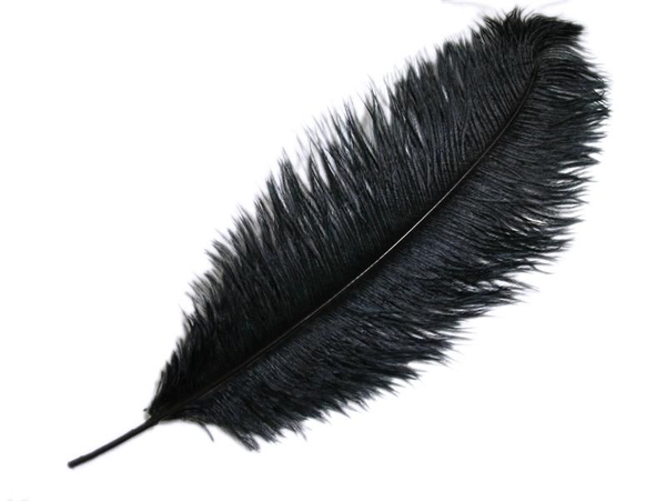 Black Ostrich Feathers 19" - 20"