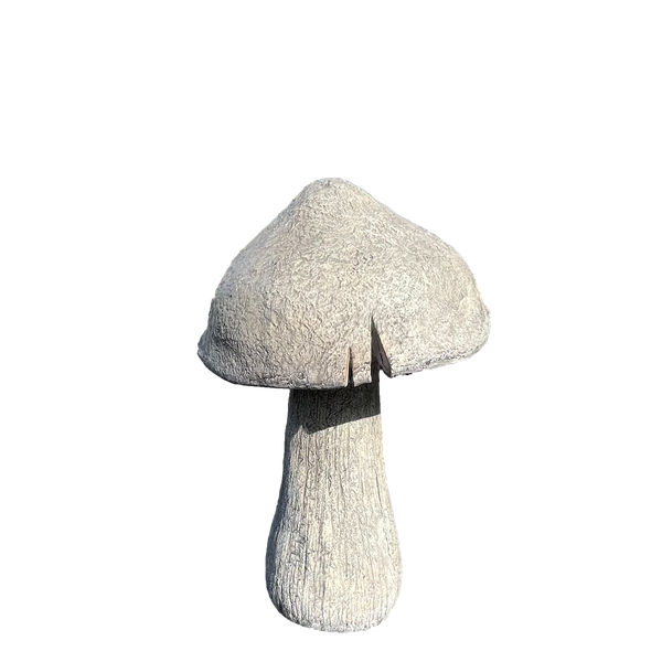 Stone Grey Pointed Mushroom 