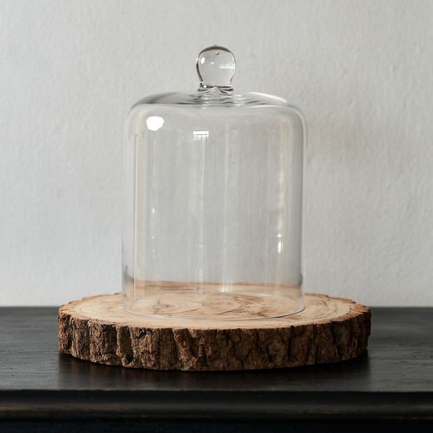 Glass Bell Jar